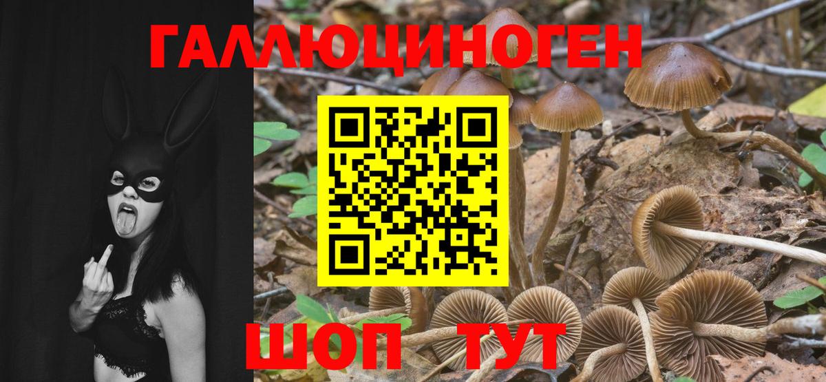 Псилоцибиновые грибы мухоморы Стрежевой